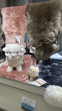 天然ムートン商品