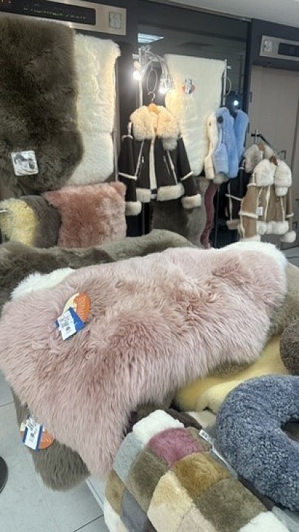 ����ɴ��Ź ����Ź 8�� 1���� ����١��������åࡼ�ȥ�ե���